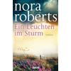 Random De Ein leuchten im sturm: Roman