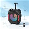 NONE Altoparlante Bluetooth Portatile per Karaoke, Audio Stereo TWS, Luce LED, Microfono Wireless + Telecomando, Audio per Feste all'Aperto