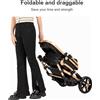Magic ZC（母婴） Sistema di Viaggio per Passeggino 3-in-1, Culla Convertibile Reversibile con Seggiolino Auto per Neonati, Imbracatura di Sicurezza a Cinque Punti, Freno a Pedale, Ruote EVA di Grande Diametro