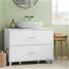 Eugad Mobiletto Sottolavabo EUGAD con Colonna e 2 Grandi Cassetti, Unità di Stoccaggio per Bagno 80x30x60cm