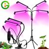 GRAXIDEA Luci per la crescita delle piante da interno a 5 livelli di intensità, luci a spettro completo per la coltivazione indoor con timer 3/9/12H e luce LED dimmerabile per tutte le fasi di crescita delle