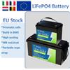 SJY Batteria LiFePO4 12V 24V da Magazzino Italiano, con BMS Integrato, Batteria al Litio 100Ah ad Alte Prestazioni per Sistemi Inverter Solari