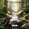 NONE WETECH WP422 Auricolari True Wireless Semi In-Ear Bluetooth 5.3, Cuffie Sportive Portatili, 2.5 Ore di Riproduzione Singola, Microfono HD, Ricarica Type-C, Cuffie Wireless