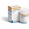 Bioiberica PROLIVET PERROS MEDIANOS 30 COMPRIMIDOS