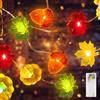 Auting Catena LED Autunno 2m 20 LED Zucca Foglie Acero
