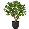 Briful Piante artificiali di ficus alte 43 cm, bonsai artificiali verdi, pianta finta per interni, piccolo albero di ficus finto per casa, cucina, bagno, decorazione