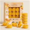Ashlux Candele Tealight in Cera d'Api Naturale - Set 20 Pezzi Lumini Non Profumati Senza Fumo 4 Ore di Combustione in Contenitore Trasparente in Acrilico - Decorazione Casa Natale Matrimonio Spa Festa