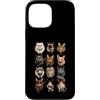 Rock and Wear Custodia per iPhone 13 Pro Max Rock Star Cats Punk Band Kittens Rock'n Roll Regali divertenti