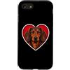 Alpine Dachsbracke Dog Lover Custodia per iPhone SE (2020) / 7/8 Cuore Alpino Dachsbracke