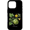 The Botany Bureau Custodia per iPhone 16 Pro Illustrazione della pianta di zucca Cucurbita maxima