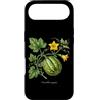 The Botany Bureau Custodia per iPhone Air Illustrazione della pianta di zucca Cucurbita maxima
