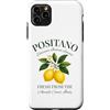 Positano Amalfi Coast Italy Designs Custodia per iPhone 11 Pro Max Positano Amalfi Limoni freschi italiani