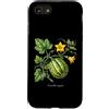 The Botany Bureau Custodia per iPhone SE (2020) / 7/8 Illustrazione della pianta di zucca Cucurbita maxima