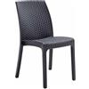Decor Space Sedia in Polipropilene Phoenix effetto rattan per interno e esterno, adatto per bar e strutture (Antracite, Confezione da 1 Pezzo)
