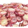 SSyang 120 Pz Mini Fiori Secchi per Resina, Veri Piccoli Fiori Secchi Naturali per Artigianato in Resina, Colorati per Piccoli Pressati per Fai da Te,Bianco Rosa
