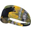 Anceky Fascia elastica per esercizi - Fascia morbida e traspirante per corsa, ciclismo, yoga e altro ancora. Grandi e piccoli orsi neri stampati.