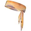 Anceky Fascia per capelli rinfrescante White Swan On Lake Sports Fascia per capelli neutra a doppia faccia per corsa, fitness, karate, yoga, calcio
