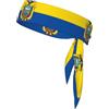 Anceky Bandiera dell'Ecuador Fascia sportiva rinfrescante Fascia neutra a doppia faccia per corsa, fitness, karate, yoga, calcio