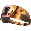 Anceky Fascia elastica per esercizi - Fascia morbida e traspirante per corsa, ciclismo, yoga e altro ancora. Grazioso cane Golden Retriever stampato.