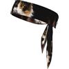 Anceky Fascia per capelli rinfrescante sportiva White Kitten Fascia per capelli neutra a doppia faccia per corsa, fitness, karate, yoga, calcio
