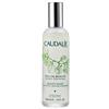 ACQUA DI BELLEZZA 100 ML