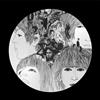 The Beatles - Revolver (picture Disc) - Vinile