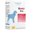 Benessere Farmacia Dinamic medium 20 stick da 10 g