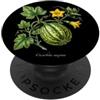 The Botany Bureau Illustrazione della pianta di zucca Cucurbita maxima PopSockets PopGrip Adesivo