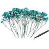 PATIKIL 30 Pezzi Mazzi Di Fiori Pressati Naturali. | 30 Pezzi Mini Kit Fiori Secchi Di Gypsophila Mazzi Di Fiori