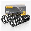 GH Coppia Molle Ammortizzatori Posteriori per VW Passat Variant 1988-1996
