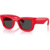 Ray-Ban Occhiali da Sole Ray-Ban Wayfarer Puffer RB 4940 (683187)