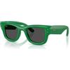 Ray-Ban Occhiali da Sole Ray-Ban Wayfarer Puffer RB 4940 (683487)