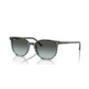 Ray-Ban Elliot RB 2197 (1391GK)