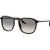 Ray-Ban RB 2203 (901/32)