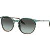 Ray-Ban RB 2204 (1394GK)