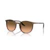 Ray-Ban RB 2204 (13953B)