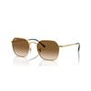 Ray-Ban Jim RB 3694 (001/51)