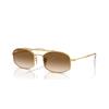 Ray-Ban RB 3719 (001/51)