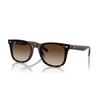 Ray-Ban RB 4420 (710/13)