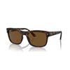 Ray-Ban RB 4428 (894/57)