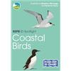 Marianne Taylor RSPB ID Spotlight - Coastal Birds (Mixed Media Product) RSPB