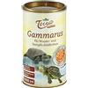 Dehner Terra - Spuntino anfibo, 1 l