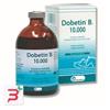 ECUPHAR ITALIA SRL DOBETIN B1*INIET FL 100ML
