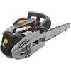 Alpina APR 25 C Motosega Da Potatura, 900 W, Barra 25 Cm - Pompa Olio Automat. Regolabile, Barra Carving Per Tagli Precisi - Potatura Alberi E Arbusti