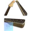 Parafango Stratocaster 95 Large Head Binding Dot Position Rose Neck
