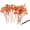 PATIKIL Kit Mini Fiori Secchi Di Gypsophila 4 Con Pinzetta 30Pz | Mazzi Floreali Pressati Naturali, Arancioni, Per DIY Regalo Artigianato Resina Decorazioni Matrimonio