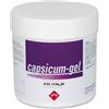FM ITALIA GROUP Srl Capsicum Gel FM Italia 750ml