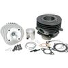 Polini GRUPPO TERMICO Ø 47 VESPA 50 PK APE 50 POLINI 140.0053