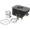 Polini GRUPPO TERMICO Ø 43 Ø 10 POLINI SENZA TESTATA CICLOMOTORI PIAGGIO 140.0065/10ST