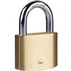 Yale Lucchetto in ottone - Y110B/60/132/1-60 mm - Arco in acciaio cementato - 3 chiavi - Per botole, catene, scale, cancelli